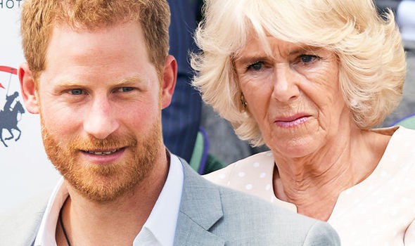 Hoàng tử Harry lần đầu lên tiếng về mẹ kế Camilla: Bà ấy là người phụ nữ tuyệt vời và làm cho cha tôi hạnh phúc - Ảnh 1.