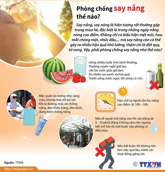 [Infographics] Những cách phòng chống say nắng, say nóng hiệu quả - Ảnh 1.