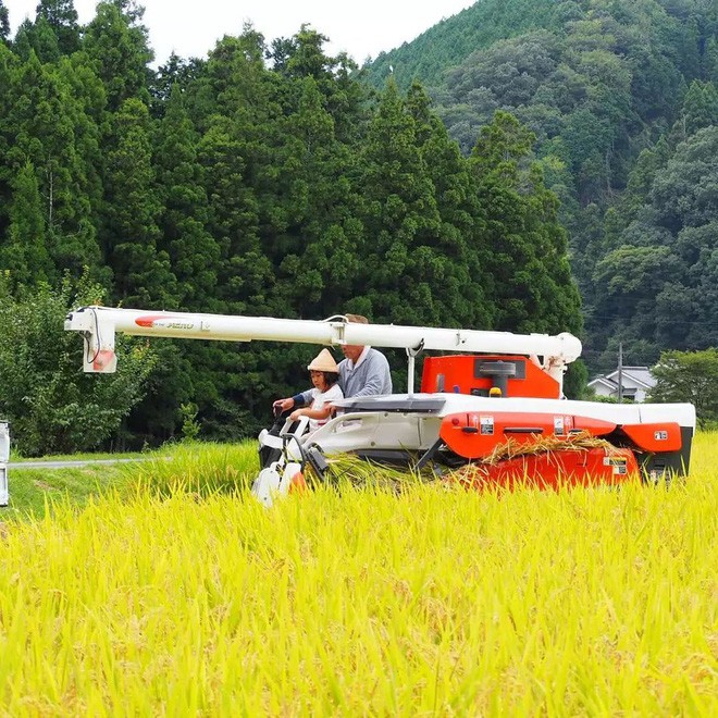 Ngôi nhà nhỏ và cuộc sống đơn sơ của gia đình Nhật Bản ở làng quê khiến bao người ngưỡng mộ - Ảnh 5.