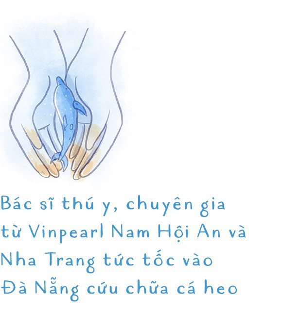 Ba ngày kỳ diệu của Lucky - Em bé cá heo bị thương trôi dạt vào bờ biển và hồi sinh nhờ những người tử tế - Ảnh 7.