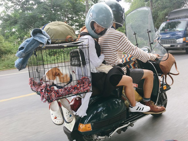 Chàng trai Sài Gòn chế lồng trên xe Vespa cho thú cưng đi phượt đã đời - Ảnh 1.
