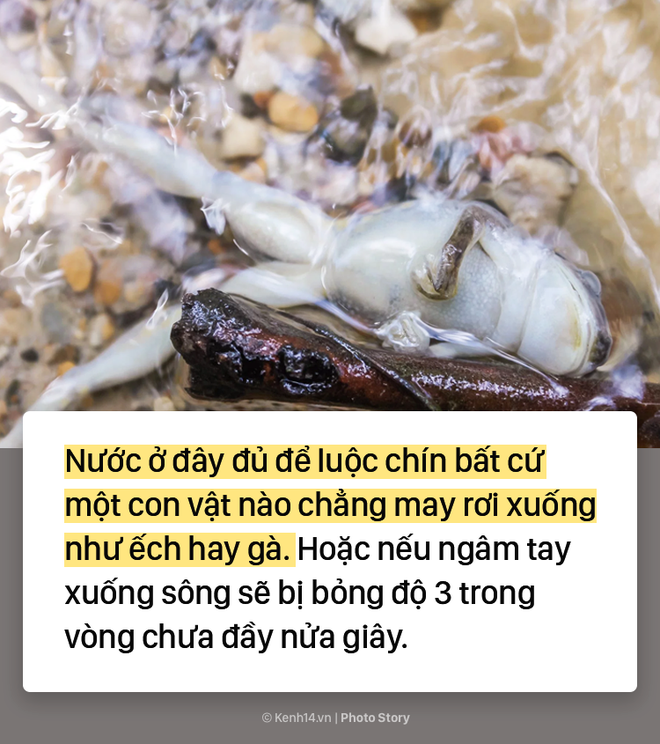 Dòng sông nước sôi tự nhiên ở Peru nóng đến mức luộc chín tất cả mọi thứ rơi xuống - Ảnh 3.