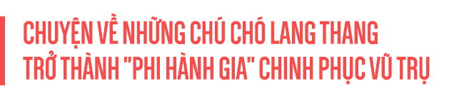 Sứ mệnh có 1-0-2 của 3 chú chó phi hành gia Liên Xô: Laika chết khi tròn 3 tuổi - Ảnh 2.