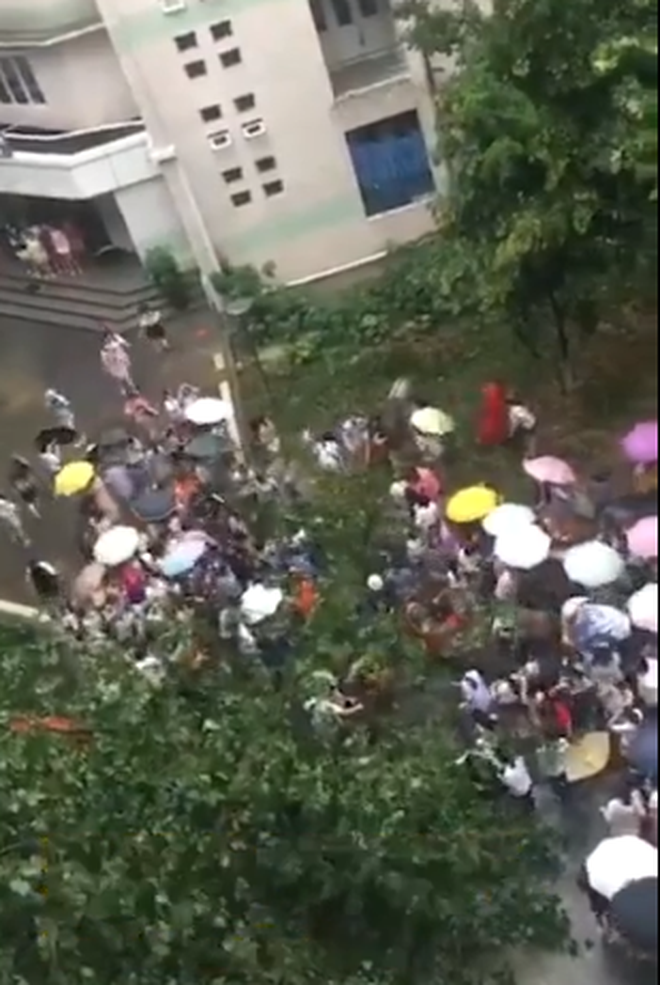 Trung Quốc: Thầy giáo bị cây đổ đè ngang người, hàng chục nữ sinh bất chấp mưa bão chạy ra cứu thầy - Ảnh 3.