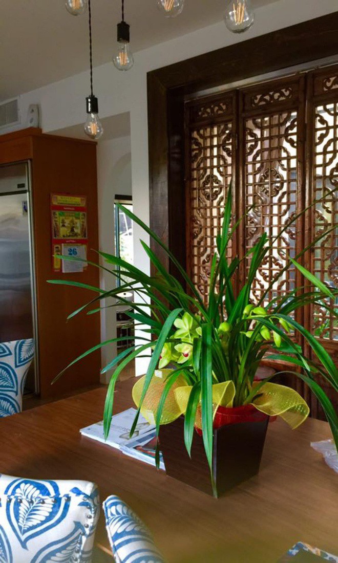 Ca sĩ Hồng Nhung khoe biệt thự triệu đô cùng sân vườn xanh mát cây cối ở Mỹ - Ảnh 3. Ca sĩ Hồng Nhung khoe biệt thự triệu đô cùng sân vườn xanh mát cây cối ở Mỹ - Ảnh 3.