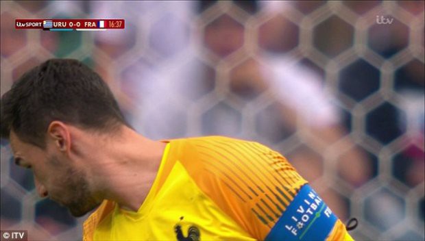HY HỮU: Lloris bị chuồn chuồn bay vào miệng tại World Cup - Ảnh 3.