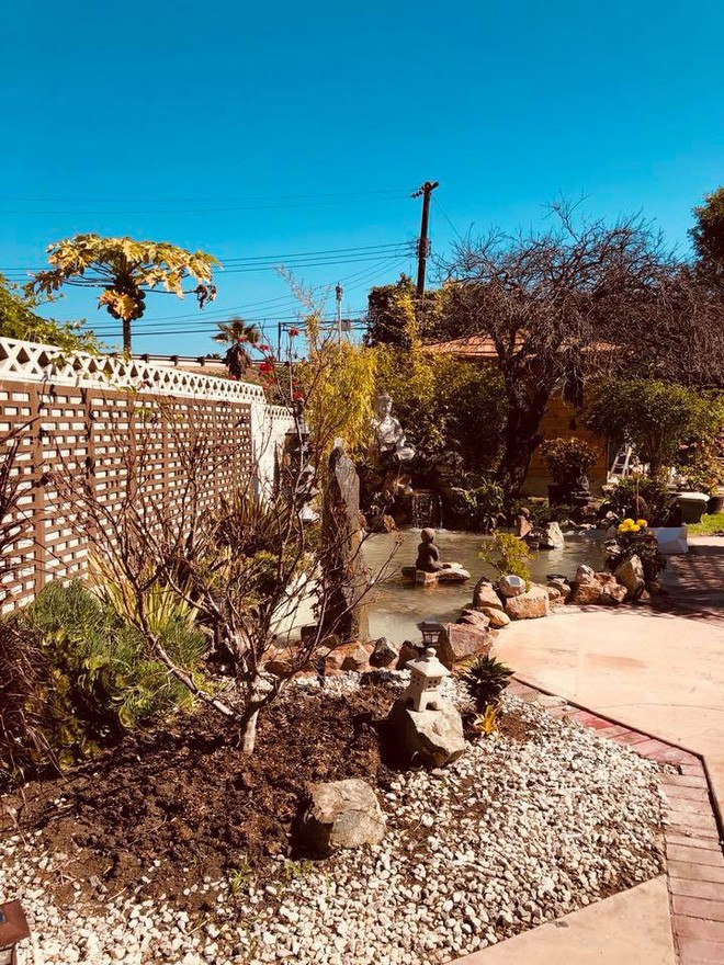 Ca sĩ Hồng Nhung khoe biệt thự triệu đô cùng sân vườn xanh mát cây cối ở Mỹ - Ảnh 23. Ca sĩ Hồng Nhung khoe biệt thự triệu đô cùng sân vườn xanh mát cây cối ở Mỹ - Ảnh 23.