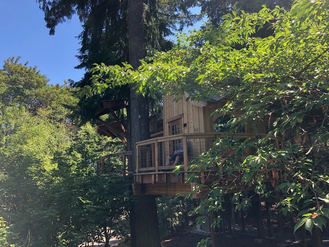 Chiêm ngưỡng ngôi nhà trên cây mà Microsoft làm cho nhân viên: Gặp gỡ, làm việc hay tắm nắng đều được - Ảnh 13.