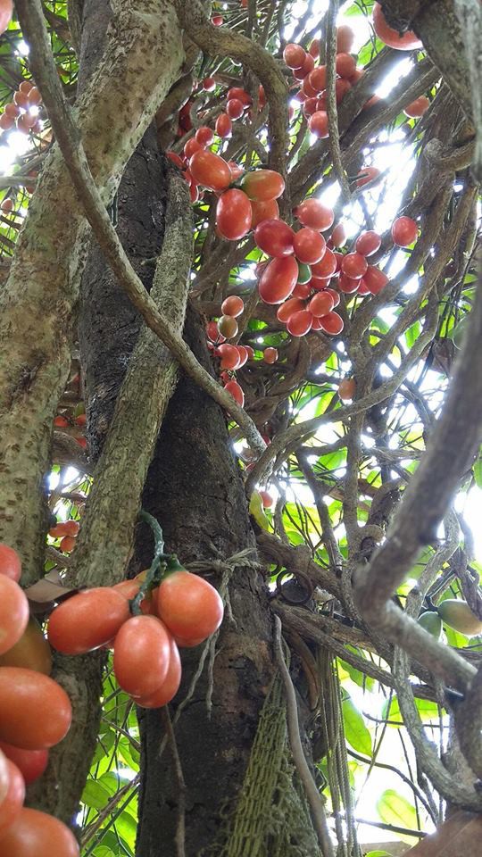 Trò đùa kinh dị của cô vợ khiến chồng ngất xỉu, đến khi biết sự thật cư dân mạng lại nhao nhao hỏi thứ này! - Ảnh 4.