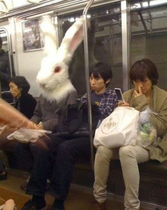 [Vui] 20 bức ảnh sẽ chứng minh cho bạn thấy: Thế giới trên tàu điện ngầm luôn ngập tràn những điều kỳ lạ - Ảnh 15.
