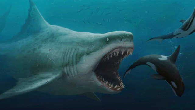 Cá mập siêu bạo chúa của Jason Statham sắp hoàn vốn ngay trong tuần đầu ra mắt - Ảnh 6.