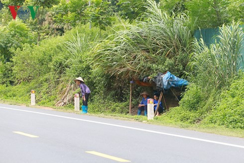 Lạng Sơn: Dân dựng lều nhặt tiền lẻ trên Quốc lộ 1 - Ảnh 5.