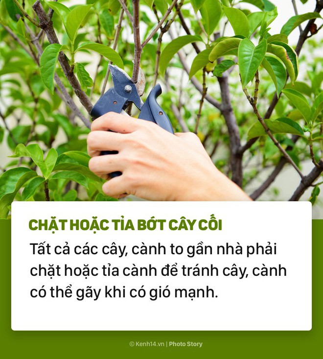 Những việc cần chuẩn bị ngay để sẵn sàng đón tiếp những cơn bão sắp đến - Ảnh 7.