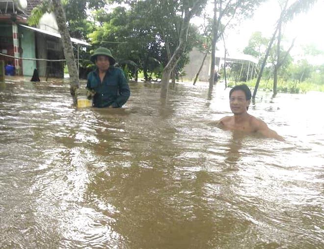 Mưa lũ làm quốc lộ ngập sâu, lợn treo trên cao, gà nhảy lên cây trốn lũ ở Nghệ An - Ảnh 9.