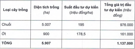  Thu về 3.800 tỷ từ trái phiếu, HAGL Agrico vừa tăng hơn 1.000 ha trồng chuối  - Ảnh 1.