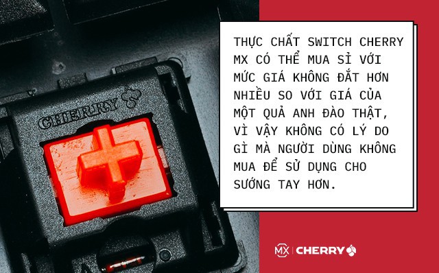 Cha đẻ của phím cơ Cherry và đế chế xây nên từ một nút bấm nhỏ bé - Ảnh 9.