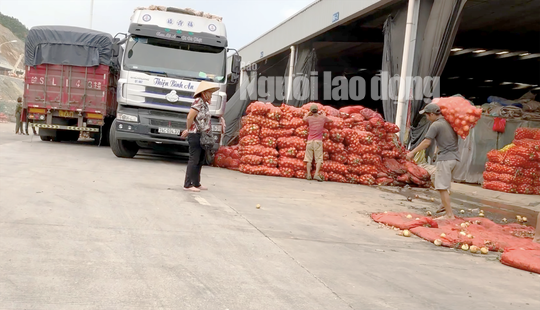 VIDEO điều tra: Đường đi nông sản Trung Quốc nhái Đà Lạt - Ảnh 3.