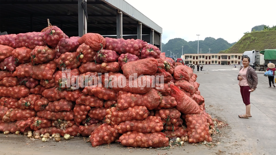 VIDEO điều tra: Đường đi nông sản Trung Quốc nhái Đà Lạt - Ảnh 5.
