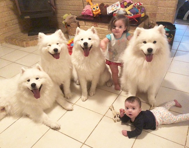 Gia đình nổi như cồn trên mạng xã hội với loạt ảnh chụp hai chị em và cả đàn chó cưng trắng như tuyết - Ảnh 19.