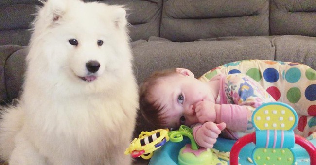 Gia đình nổi như cồn trên mạng xã hội với loạt ảnh chụp hai chị em và cả đàn chó cưng trắng như tuyết - Ảnh 7.
