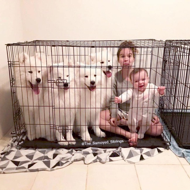 Gia đình nổi như cồn trên mạng xã hội với loạt ảnh chụp hai chị em và cả đàn chó cưng trắng như tuyết - Ảnh 10.