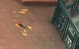 CLIP: Vị khách tung tăng dẫn đoàn đi ăn cỗ rằm tháng 7 khiến dân mạng bật cười thích thú - Ảnh 5.