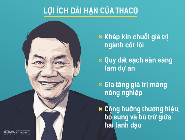  Đầu tư 1 tỷ USD vào HAGL, Thaco muốn gì?  - Ảnh 3.