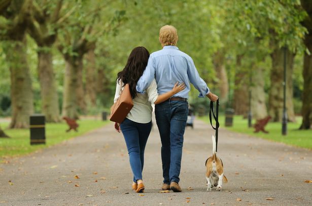 Người hâm mộ thích thú khi nhìn thấy Hoàng tử Harry và Meghan dắt thú cưng đi dạo trong công viên, đến tận nơi mới giật mình - Ảnh 6.