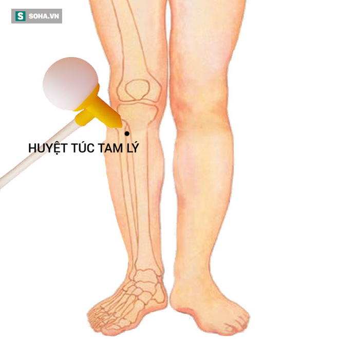 Bí quyết dưỡng sinh thuận âm dương nổi tiếng TQ: Người làm được đều khỏe mạnh, sống lâu - Ảnh 6.