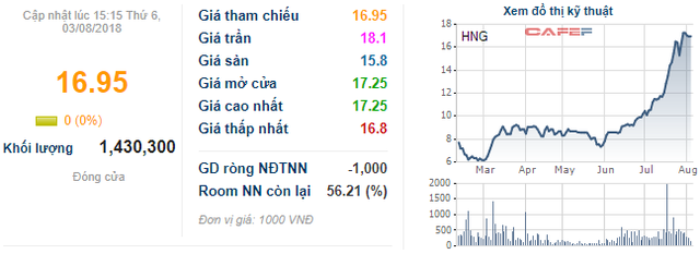  Tổng Giám đốc HAGL: Thaco đã rất dũng cảm khi cam kết đầu tư vào trái phiếu chuyển đổi của HNG  - Ảnh 2.