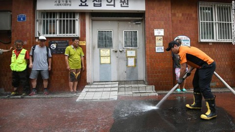 Hàn Quốc nóng kỷ lục: 29 người tử vong, đệm cao su cháy đen vì phơi nắng và trứng thì liên tục nở thành gà con - Ảnh 3.