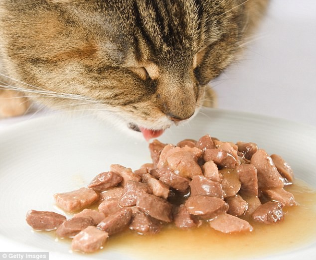 Úc: Quán đặc sản Ấn Độ bị phát hiện cho khách ăn toàn thức ăn của chó mèo - Ảnh 2.