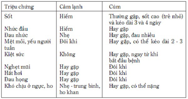 Những thông tin cần biết về cúm H1N1 - Ảnh 2.