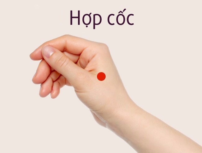 GS Đông y hướng dẫn cách chữa viêm mũi, viêm xoang hiệu quả: 5 phút/ngày, 7 ngày là khỏi - Ảnh 11.