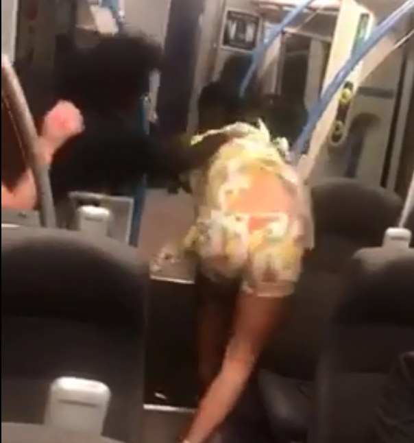 Hành khách đấm đá nhau trên tàu điện chỉ vì một cái bánh kẹp - Ảnh 3.