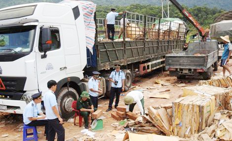 Hàng ngàn thanh gỗ quý hiếm cất giấu tinh vi trong các kiện giấy phế liệu - Ảnh 3.