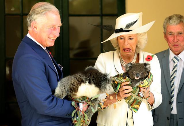 Những khoảnh khắc hài hước của bà Camilla - mẹ chồng thị phi nhất Hoàng gia Anh, đã xem là không thể không cười - Ảnh 4.
