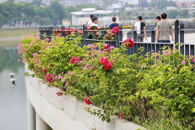 Cận cảnh công viên gần 300 tỷ nằm trên đất vàng tại Thanh Xuân - Hà Nội vừa mở cửa - Ảnh 6.