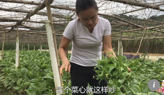 Chị nông dân bỗng thành ngôi sao MXH nhờ các video quê kiểng, một bước từ người thu nhập thấp thành doanh nhân triệu đô - Ảnh 2.