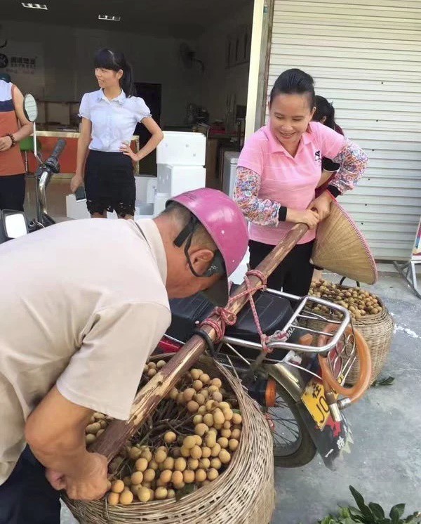 Chị nông dân bỗng thành ngôi sao MXH nhờ các video quê kiểng, một bước từ người thu nhập thấp thành doanh nhân triệu đô - Ảnh 3.