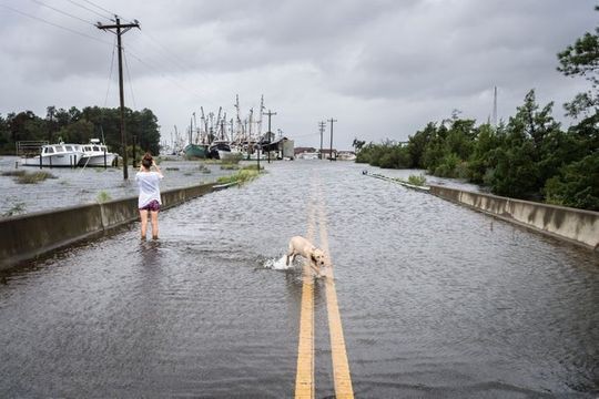 Philippines mở kho gạo bị tịch thu cứu trợ dân trong siêu bão Mangkhut - Ảnh 5.