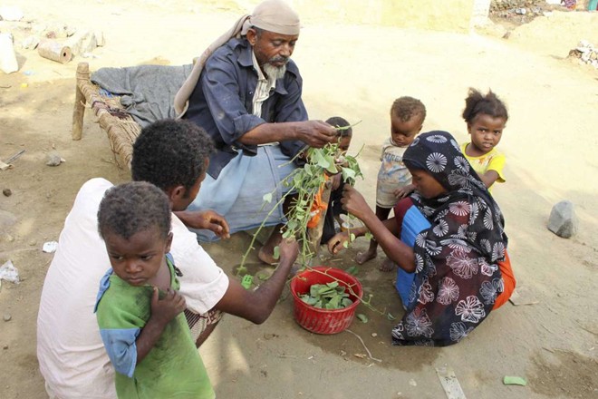 Người dân Yemen phải ăn lá cây vì đói do chiến tranh - Ảnh 4.