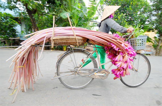 Cận cảnh thiên nhiên ban tặng người dân miền Tây nhiều sản vật trong mùa lũ đẹp - Ảnh 31.