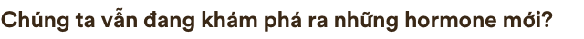 Lịch sử hơn 100 năm của hormone, những hóa chất siêu mạnh đang điều khiển cơ thể chúng ta - Ảnh 8.
