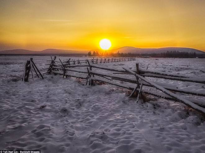 Ngắm siêu ngựa cực hiếm tại vùng đất băng giá Siberia - Ảnh 4.