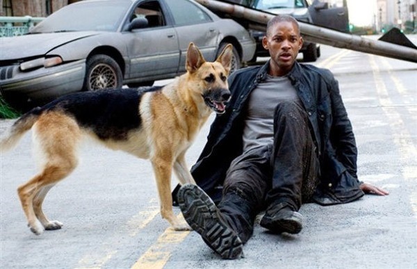 Abbey, cô chó thông minh trong I Am Legend của Will Smith giờ đã 13 tuổi, không nghe thấy gì nhưng vẫn hiếu động - Ảnh 2.