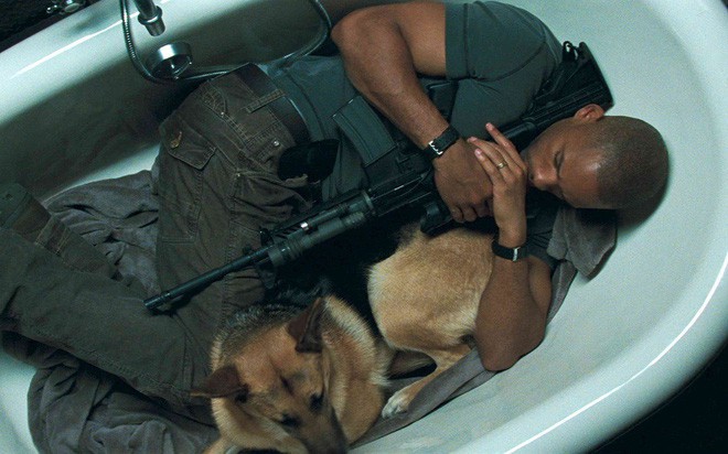 Abbey, cô chó thông minh trong I Am Legend của Will Smith giờ đã 13 tuổi, không nghe thấy gì nhưng vẫn hiếu động - Ảnh 1.