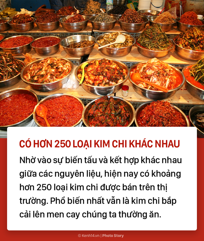 Kim chi và 7 sự thật thú vị không phải ai cũng biết - Ảnh 1.