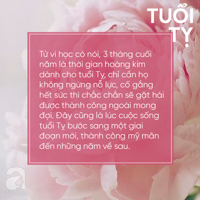 Ngày hoàng kim đang đến gần, 3 con giáp này chuẩn bị tinh thần đón lộc trời cho, 3 tháng cuối cùng của năm phát tài bất ngờ - Ảnh 3.