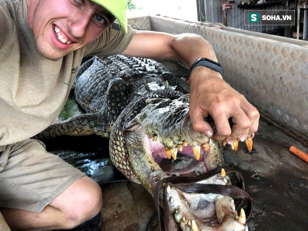 Du khách liều mạng nhử cá sấu lên bờ rồi cưỡi lên lưng quái vật nặng 635kg - Ảnh 1.